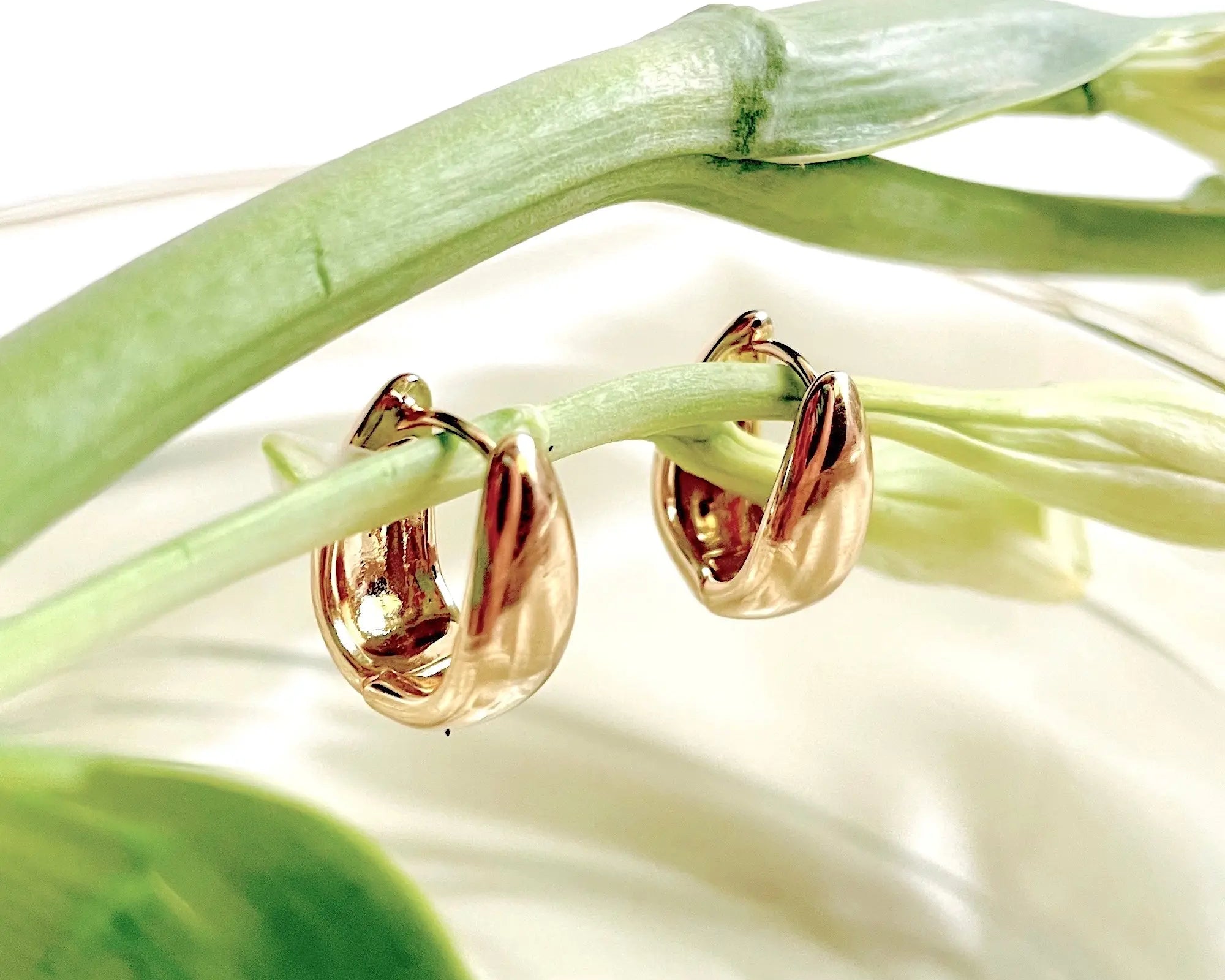 Salve ‘Lucent’ Oval Gold Huggie Hoop Earrings - Salve