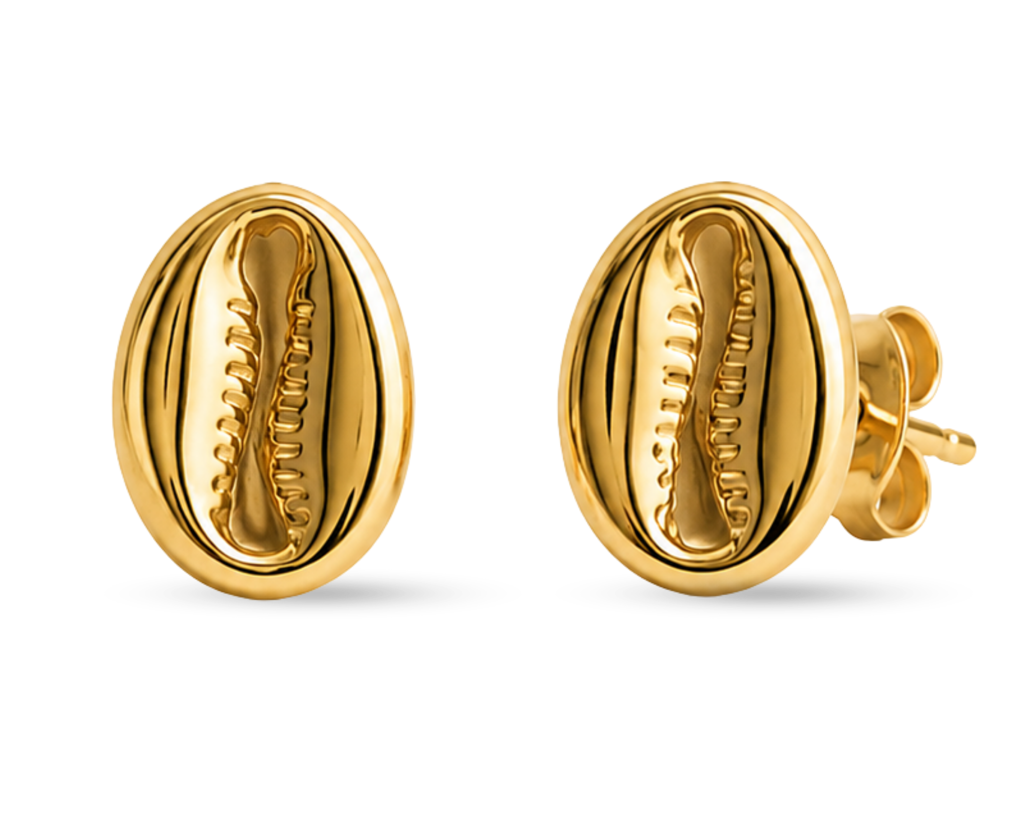 Gold earrings with cowrie shell design by SALVE, featuring intricate shell details and elegant earring hooks.