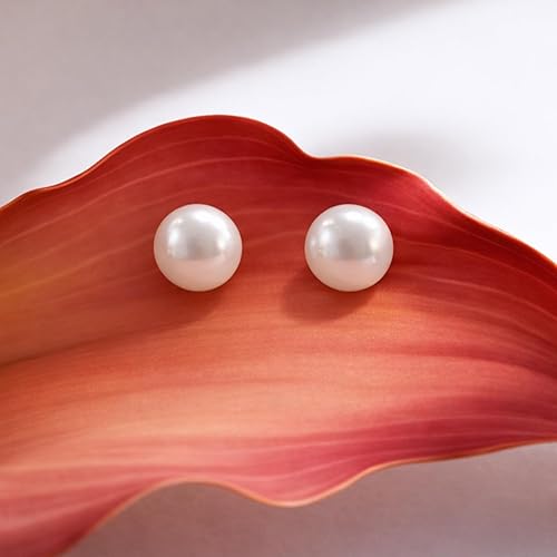 Salve Chic 11MM Faux Pearl Earrings for Women - Salve