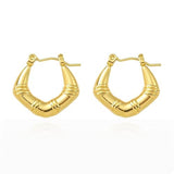Salve Hoops Earrings for Women