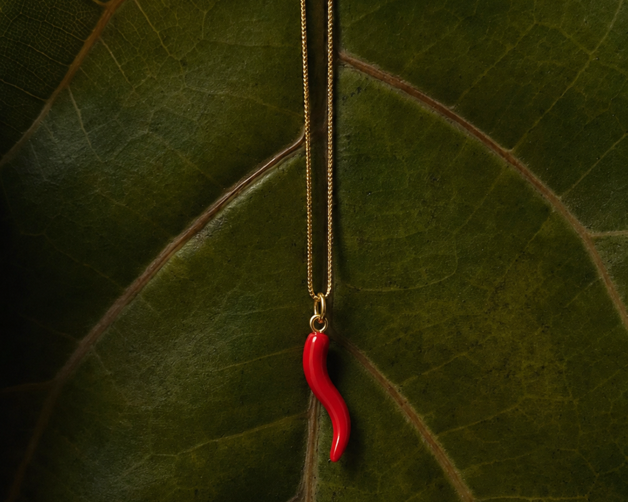SALVE Red Chili Pendant Necklace featuring a vibrant red chili charm on a sleek chain, stylish jewelry accessory.