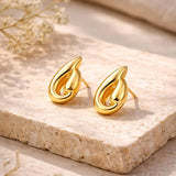 Salve Chic Earrings for Women - Salve
