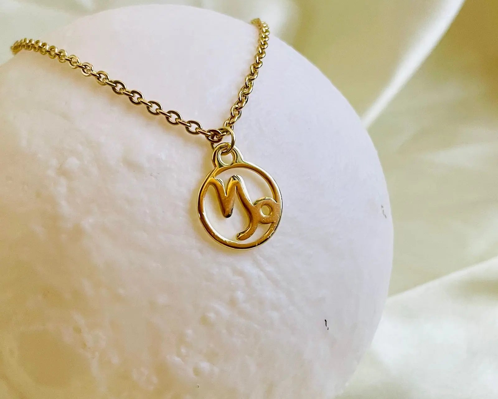 Salve Astrology Astro Chic Zodiac Sign Pendant Chain Gold Necklace - Capricorn SALVE